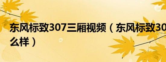 东风标致307三厢视频（东风标致307三厢怎么样）