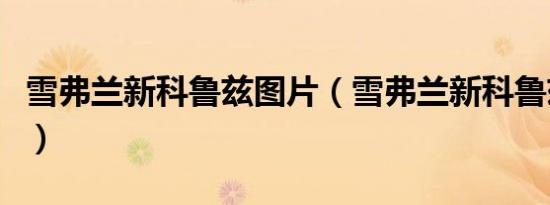 雪弗兰新科鲁兹图片（雪弗兰新科鲁兹怎么样）