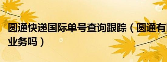 圆通快递国际单号查询跟踪（圆通有国际快递业务吗）