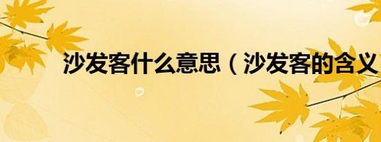 沙发客什么意思（沙发客的含义）