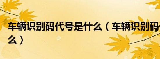 车辆识别码代号是什么（车辆识别码代号是什么）