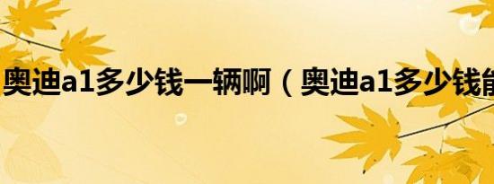 奥迪a1多少钱一辆啊（奥迪a1多少钱能落地）