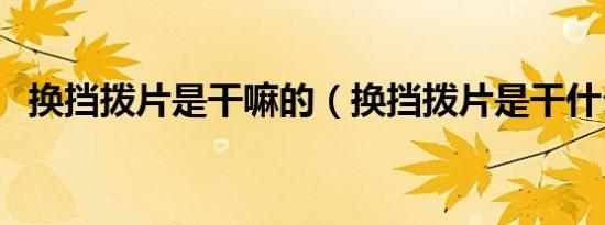 换挡拨片是干嘛的（换挡拨片是干什么的）