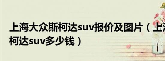 上海大众斯柯达suv报价及图片（上海大众斯柯达suv多少钱）