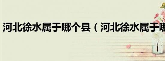 河北徐水属于哪个县（河北徐水属于哪个市）