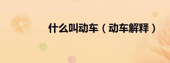什么叫动车（动车解释）