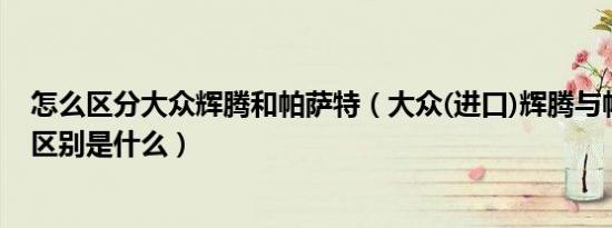 怎么区分大众辉腾和帕萨特（大众(进口)辉腾与帕萨特外观区别是什么）