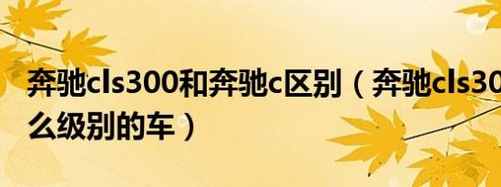 奔驰cls300和奔驰c区别（奔驰cls300属于什么级别的车）