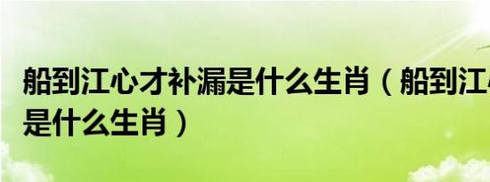 船到江心才补漏是什么生肖（船到江心补漏迟是什么生肖）