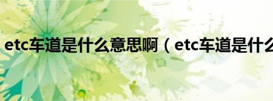 etc车道是什么意思啊（etc车道是什么标志）