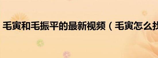 毛寅和毛振平的最新视频（毛寅怎么找到的）