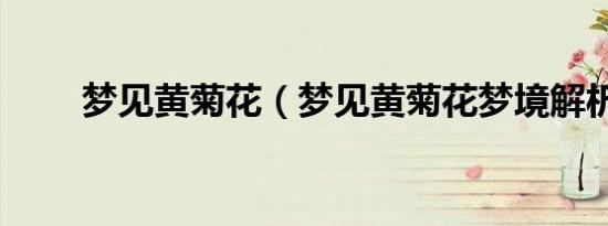 梦见黄菊花（梦见黄菊花梦境解析）