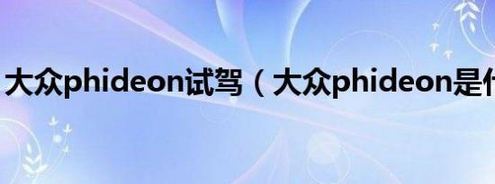 大众phideon试驾（大众phideon是什么车）