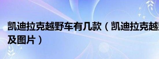 凯迪拉克越野车有几款（凯迪拉克越野车报价及图片）