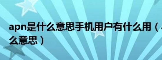 apn是什么意思手机用户有什么用（apn是什么意思）