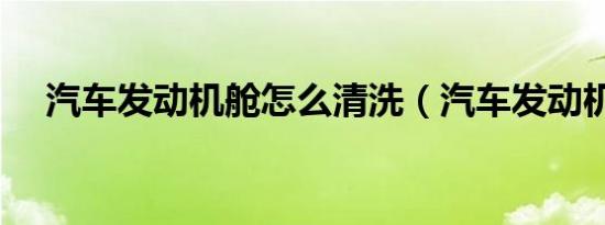 汽车发动机舱怎么清洗（汽车发动机舱）