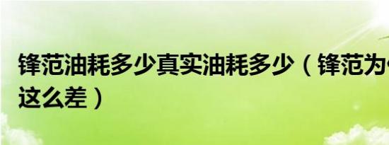 锋范油耗多少真实油耗多少（锋范为什么销量这么差）