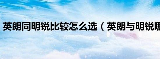 英朗同明锐比较怎么选（英朗与明锐哪个好）