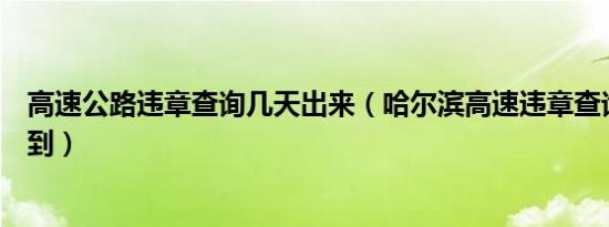 高速公路违章查询几天出来（哈尔滨高速违章查询几天能查到）