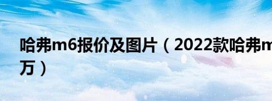 哈弗m6报价及图片（2022款哈弗m6仅售7万）