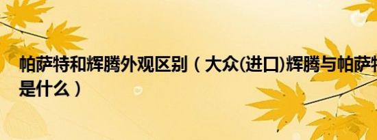 帕萨特和辉腾外观区别（大众(进口)辉腾与帕萨特外观区别是什么）
