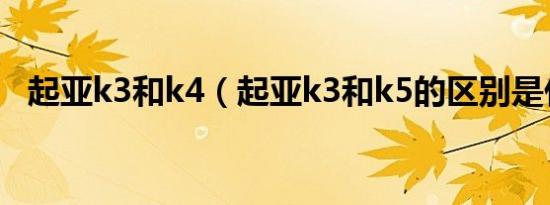 起亚k3和k4（起亚k3和k5的区别是什么）