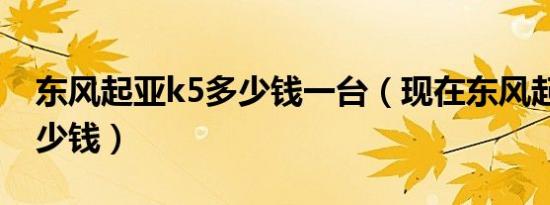 东风起亚k5多少钱一台（现在东风起亚k5多少钱）