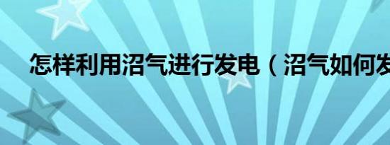 怎样利用沼气进行发电（沼气如何发电）