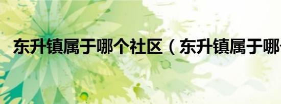 东升镇属于哪个社区（东升镇属于哪个区）