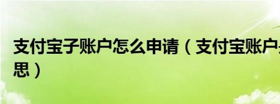 支付宝子账户怎么申请（支付宝账户是什么意思）
