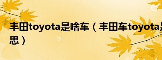 丰田toyota是啥车（丰田车toyota是什么意思）