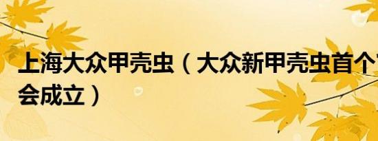 上海大众甲壳虫（大众新甲壳虫首个官方车友会成立）