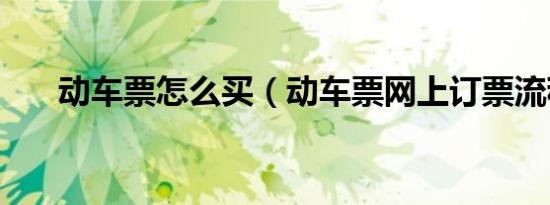 动车票怎么买（动车票网上订票流程）