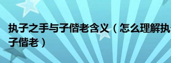执子之手与子偕老含义（怎么理解执子之手与子偕老）