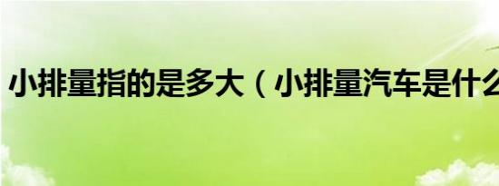 小排量指的是多大（小排量汽车是什么意思）