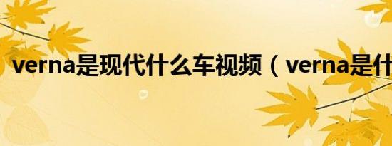 verna是现代什么车视频（verna是什么车）