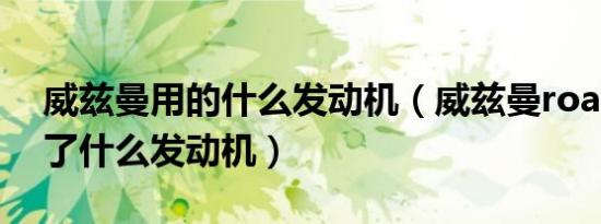威兹曼用的什么发动机（威兹曼roadster用了什么发动机）
