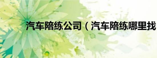 汽车陪练公司（汽车陪练哪里找）