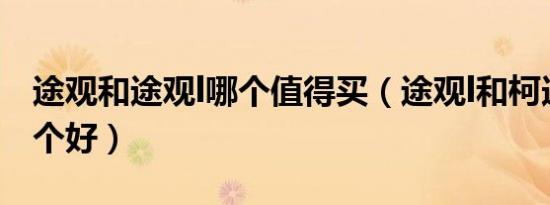 途观和途观l哪个值得买（途观l和柯迪亚克哪个好）