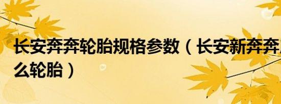 长安奔奔轮胎规格参数（长安新奔奔用的是什么轮胎）