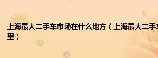 上海最大二手车市场在什么地方（上海最大二手车市场在哪里）