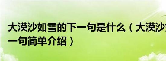 大漠沙如雪的下一句是什么（大漠沙如雪的下一句简单介绍）