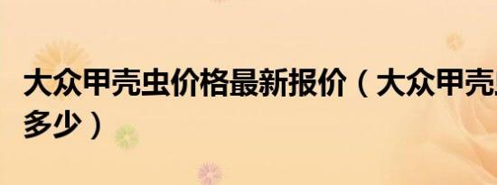 大众甲壳虫价格最新报价（大众甲壳虫价格是多少）