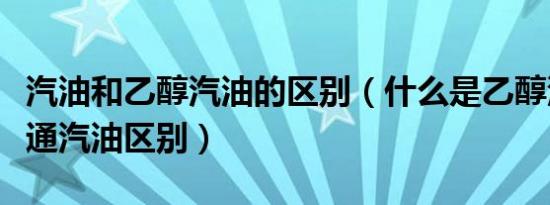 汽油和乙醇汽油的区别（什么是乙醇汽油和普通汽油区别）