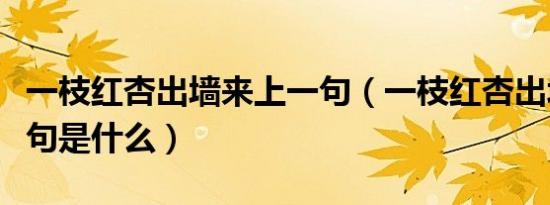 一枝红杏出墙来上一句（一枝红杏出墙来上一句是什么）