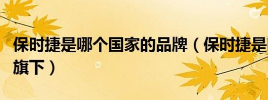 保时捷是哪个国家的品牌（保时捷是哪个公司旗下）