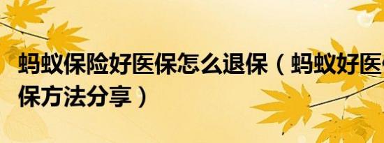蚂蚁保险好医保怎么退保（蚂蚁好医保最快退保方法分享）