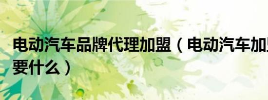 电动汽车品牌代理加盟（电动汽车加盟代理需要什么）