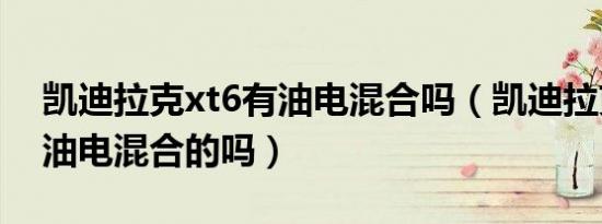 凯迪拉克xt6有油电混合吗（凯迪拉克xt6有油电混合的吗）