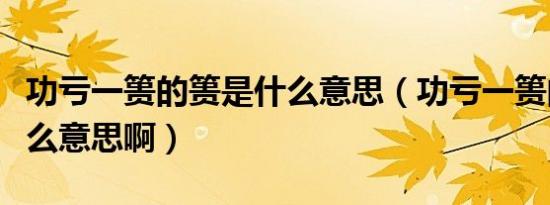 功亏一篑的篑是什么意思（功亏一篑的篑是什么意思啊）